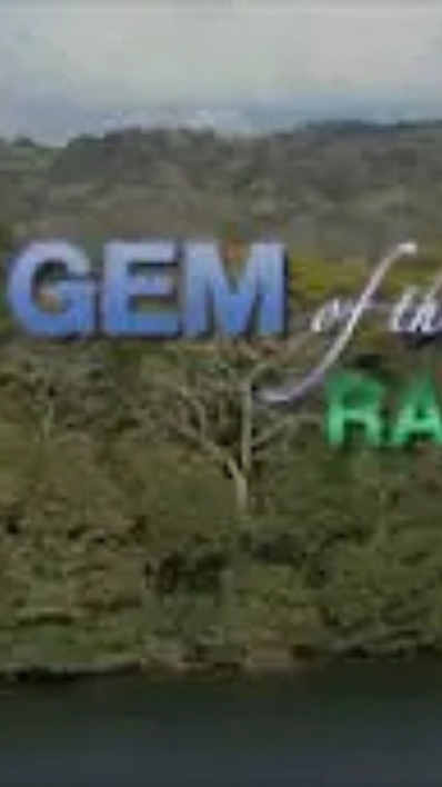 Gem of the Rainforest